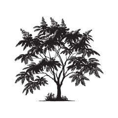 Ailanthus Vector - Ailanthus Tree art - Minimalist Ailanthus Tree Silhouette - Tree Illustration.