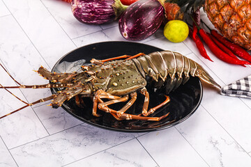 Raw wild fresh spiny lobster