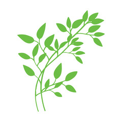 leaf icon
