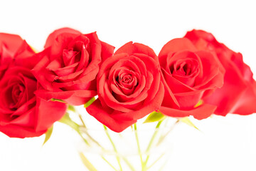 Red roses in a glass vase close up