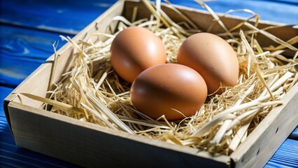 eggs in a nest