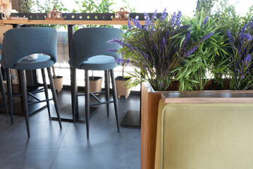two high chairs and a bar counter in a cafe with an installation of artificial plants