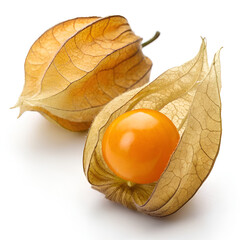 physalis on white background
