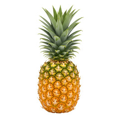 Fototapeta premium Ripe Pineapple Fruit Isolated on Black Background Tropical Summer Food Green Sweet Juicy Fresh Plant