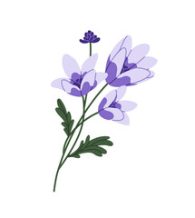 Obraz premium Branch of bluebell. Cute bellflower, campanula. Wild flower with blue petals ang green leaves. Wildflower, blossom meadow plant, field flora. Flat isolated vector illustration on white background