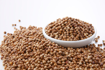 白い器に盛ったコリアンダーシード　白背景