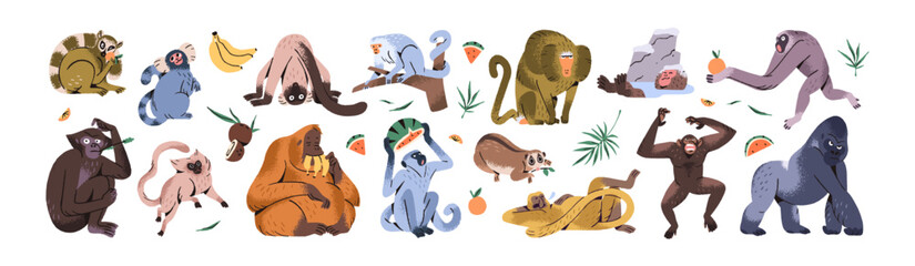 Set of different funny monkeys. Happy primate characters have fun, eat fruit. Cute jungle animals: exotic gibbon, chimpanzee, lemur, gorilla. Flat isolated vector illustrations on white background © Paper Trident