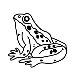 Naklejka premium A frog happy Halloween concept, black and white hand drawn line art illustration 