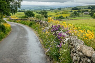 Winding country road with picturesque stone fence and vibrant wildflowers rural landscape scenic view lush green environment for nature enthusiasts