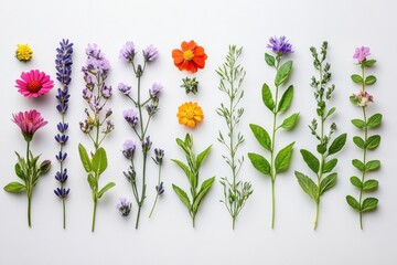 Naklejka premium Beautiful Arrangement of Fresh Wildflowers and Herbs on a Light Background