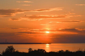 An orange sunset on a riverbank with swallows in the sky