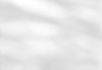 Shadow of leaves tree plant overlay on white wall. Sunlight effect shadow on the wall. Minimal blurred backdrop backgrounds. Summer tropical surface background.