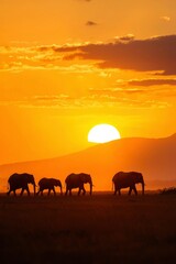 Obraz premium Elephants Walking at Sunset in African Savanna