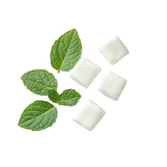 White gum pieces with fresh green mint leaf isolated on white background