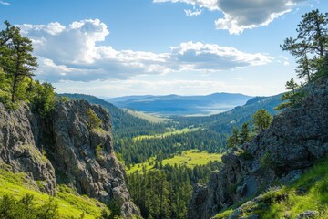 Fototapeta premium Breathtaking valley view from rocky cliffs in montana wilderness