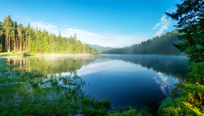 Reflection of Tranquility: A pristine lake mirrors the surrounding landscape, embraced by a lush forest under a clear blue sky, embodying serenity and the untamed beauty of the wild.