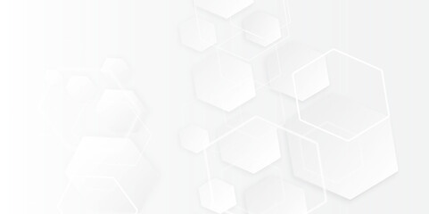 The Power of Geometric Simplicity: An Exploration of Hexagonal Patterns, White and Gray Tones, and Their Impact on Digital Design and Technology
