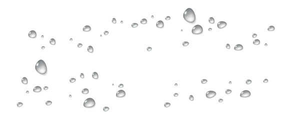 Realistic vector water drops png on a transparent light background. Water condensation on the surface with light reflection and realistic shadow. 3d vector illustration