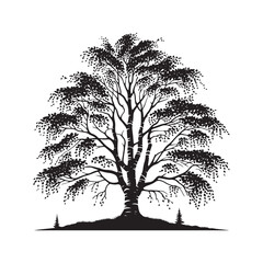 Silhouette of Basswood Tree - Minimalistic Basswood Tree - Basswood tree Vector - Basswood Tree Illustration.