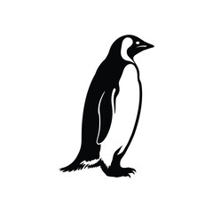 Obraz premium Penguins simple Vector minimal black silhouette