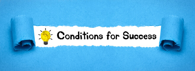 Conditions for Success