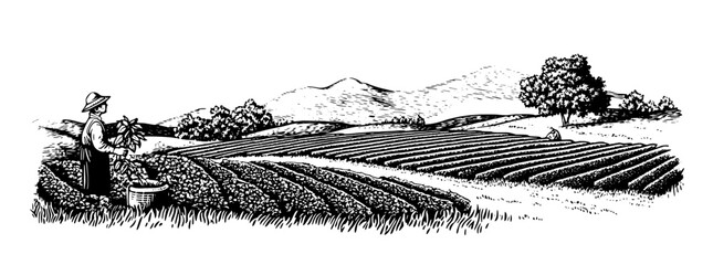Fototapeta premium Engraved vector tattoo design featuring a farmer harvesting crops in a lush landscape with rolling hills