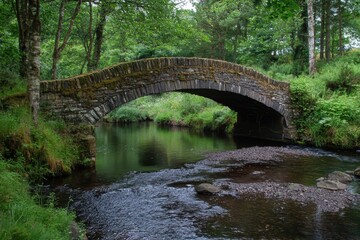 Old stone bridge crossing calm river in lush green forest