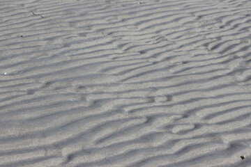 ripples in the sand