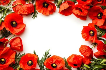 Red poppy flowers frame on white background