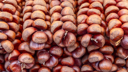 Bundles of raw chestnuts with smooth glossy brown shells and rough matte patches tightly strung together with natural fiber twine forming dense uniform rows