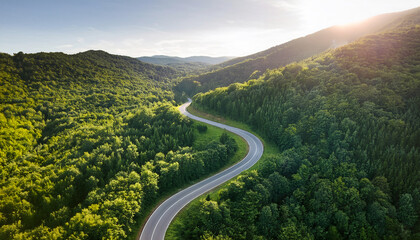 Winding Road through Lush Green Valley: An expansive aerial view of a sinuous road weaving through a vibrant, verdant valley under a bright sky and radiant sun.