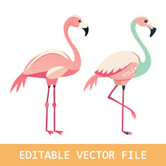Cute pink flamingo birds, vector for shirt, fashion, poster, card, sticker designs
