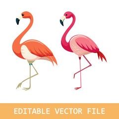Obraz premium Flamingo bird illustration design