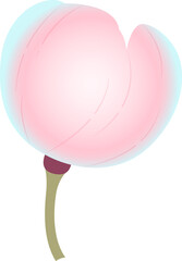 Fototapeta premium 桜