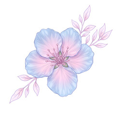 Pastel Pink Blue Flower Blossom Floral Design Botanical Illustration Spring Nature art soft plant   