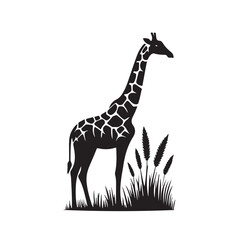 Fototapeta premium giraffe silhouette vector illustration, Silhouettes set of African wild animals in nature habitats, giraffes in different poses silhouette set, vector collection.