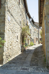 Obraz premium Step into the charm of an authentic Italian village with this stunning image of a sunlit cobblestone alley. 