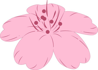 桜