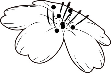桜