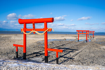 大魚神社の海中鳥居の風景（太良町）