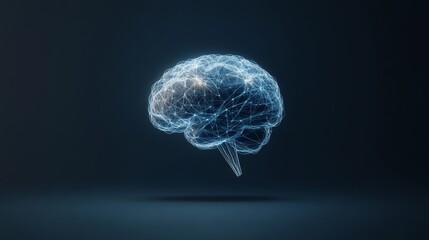 Digital Brain Representation with Neural Network Connections