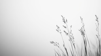 Minimalistic black and white grass silhouette against white background