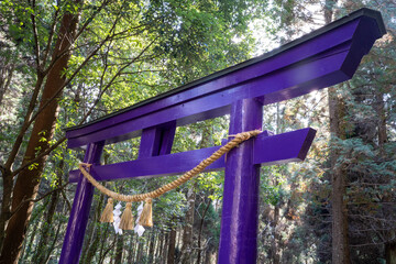 大釈天宮の紫色の鳥居（霧島市）