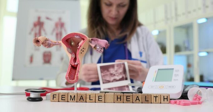 A healthcare professional dedicated to educating women about health through detailed anatomical models for clarity