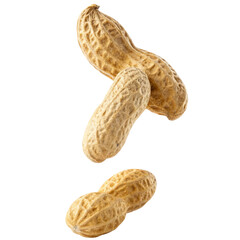 Falling peanut isolated on a transparent background