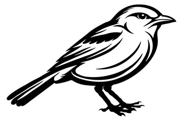 black silhouette of a bird with transparent background