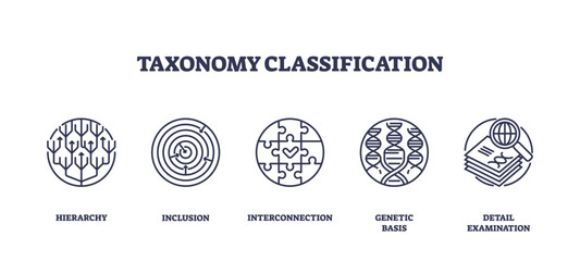 Taxonomy classification icons depict hierarchy, interconnection, and genetic basis. Outline icons set.