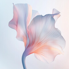 Pastel Gradient Flower Petal on Light White Background &ndash; Soft and Elegant Color Transition in a Minimalist Floral Aesthetic