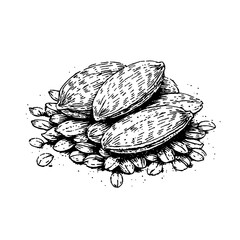 Detailed engraving showcases a bountiful collection of seeds and nuts artfully arranged, perfect for tattoo inspiration or packaging design