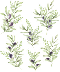 Set of vector watercolor frame of branches with olive fruits and leaf.
